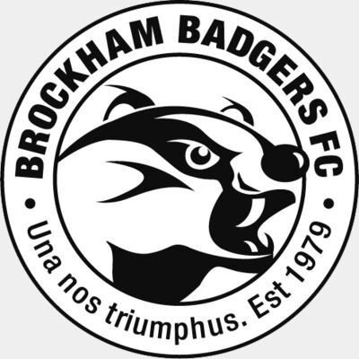 Brockham BADGERS FC white Thumbnail